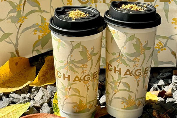 手把手教你如何顺利加盟霸王茶姬，成功开店的详细步骤